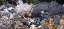 Restos de uma festa de formatura foram depositados irregularmente em área verde