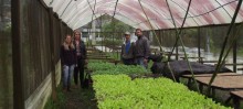 Viveiro Municipal de Mudas de Hortaliças retoma as atividades